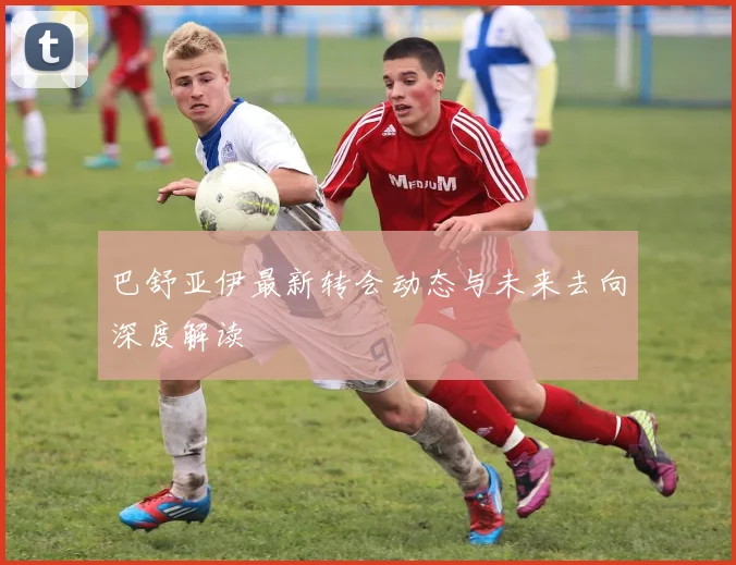 巴舒亚伊最新转会动态与未来去向深度解读